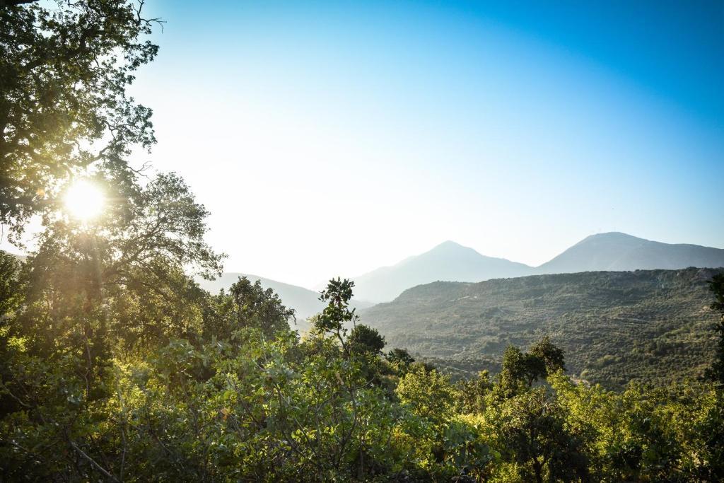 Enagron Ecotourism Village Axós Eksteriør bilde